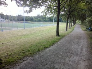 Monte: Allee am Fußballplatz