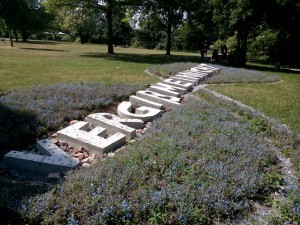 Monte: Vergissmeinicht